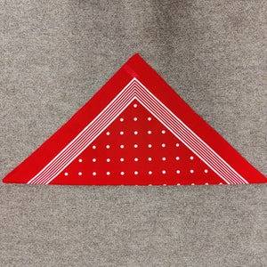 21" Spot Bandana