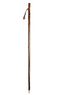 Chestnut Hiker with Spike Ferrule