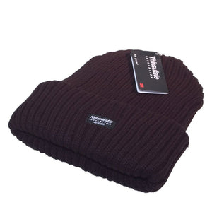 Chunky Thinsulate Ski Hat