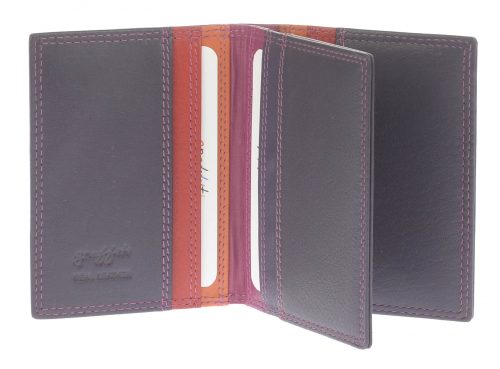 7-114  Caribbean Credit card case