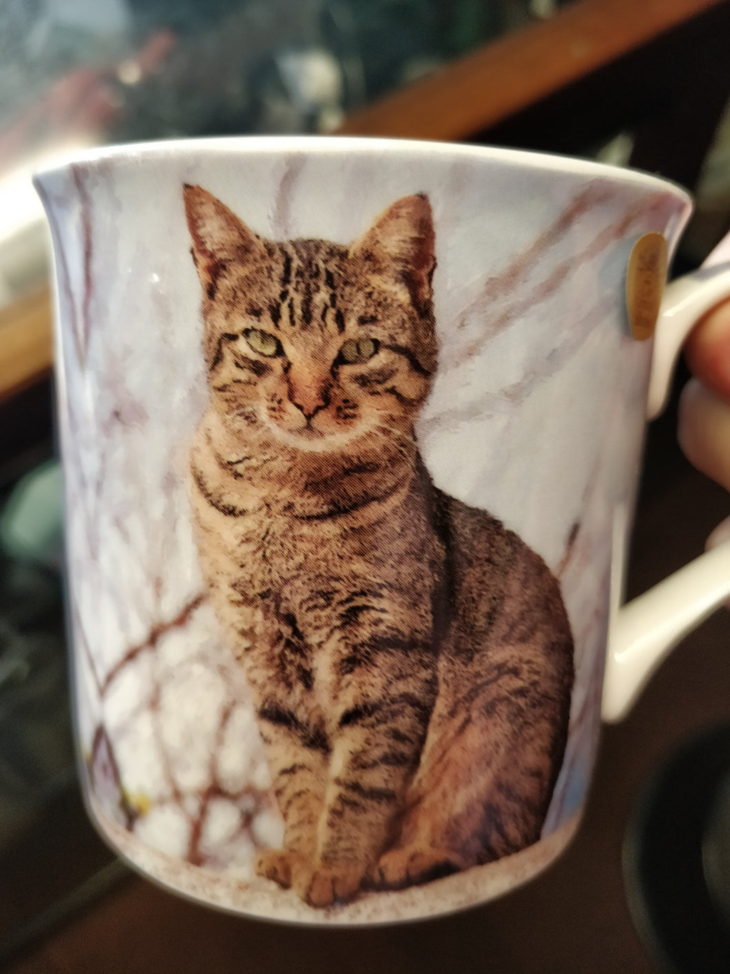 Tabby Cat Mug