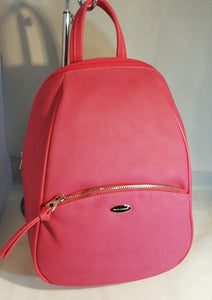 David Jones  CM5604A PU Backpack