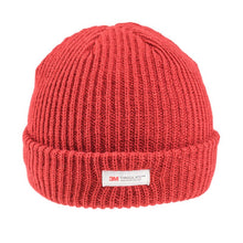 Load image into Gallery viewer, Thinsulate Ski Hat
