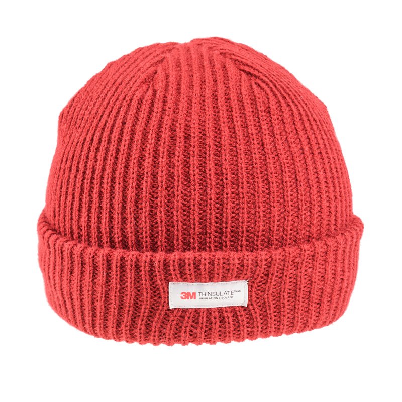 Thinsulate Ski Hat